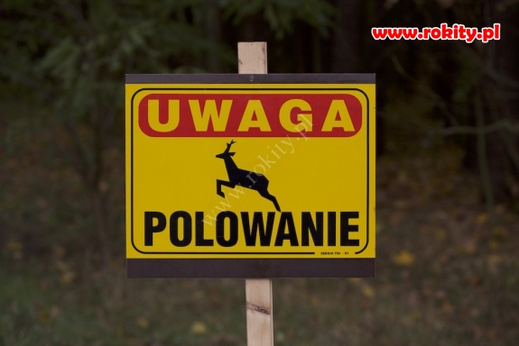 Terminarz polowań zbiorowych