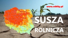 Wnioski Suszowe 2023