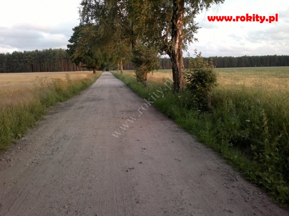 Remont drogi w Dębach