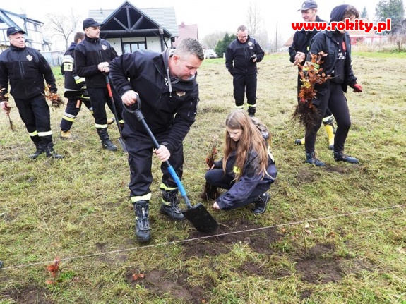 Akcja 100 drzew na 100-lecie Związku OSP RP