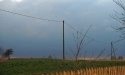 wiosna w Rokitach_5
