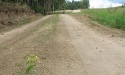 Letnie widoki_16
