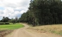 Letnie widoki_21