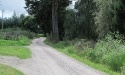 Letnie widoki_35