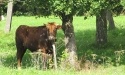 Letnie widoki_41