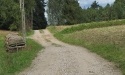 Letnie widoki_45