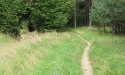 Letnie widoki_50