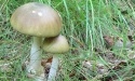 Letnie widoki_55