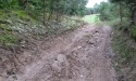 Letnie widoki_70