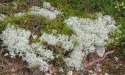 Letnie widoki_71