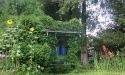 Letnie widoki_78