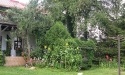Letnie widoki_83