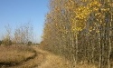 Jesień w Rokitach_5