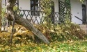 Jesień w Rokitach_9