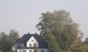 Letnie widoki_35