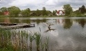 Letnie widoki_49