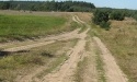 Letnie widoki_1