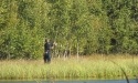 Letnie widoki_21