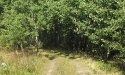 Letnie widoki_26