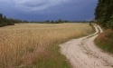 Letnie widoki_45