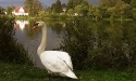 Letnie widoki_48
