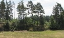Letnie widoki_3