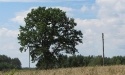 Letnie widoki_16