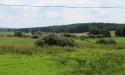 Letnie widoki_17