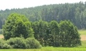 Letnie widoki_18