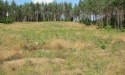Letnie widoki_25