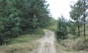 Letnie widoki_39