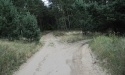 Letnie widoki_41