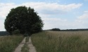 Letnie widoki_42