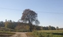 Drogą do Jasienia_8