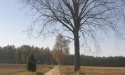 Drogą do Jasienia_14