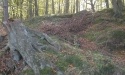 Drogą do Jasienia_29
