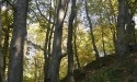 Drogą do Jasienia_36
