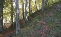 Drogą do Jasienia_37