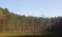 Drogą do Jasienia_60