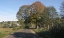 Drogą do Jasienia_69