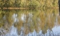 Drogą do Jasienia_79