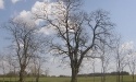Pałac w Jasieniu_19