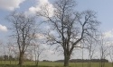 Pałac w Jasieniu_21