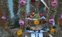 Dożynki Gminne Nożyno 2014_368