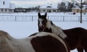 Zima 2013_9