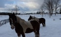 Zima 2013_10