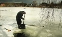 nASZE łABĘDZIE_6
