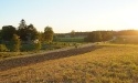 Nasze Rokity_14