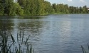 Nasze Rokity_29