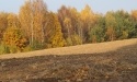 Nasza Jesień_25